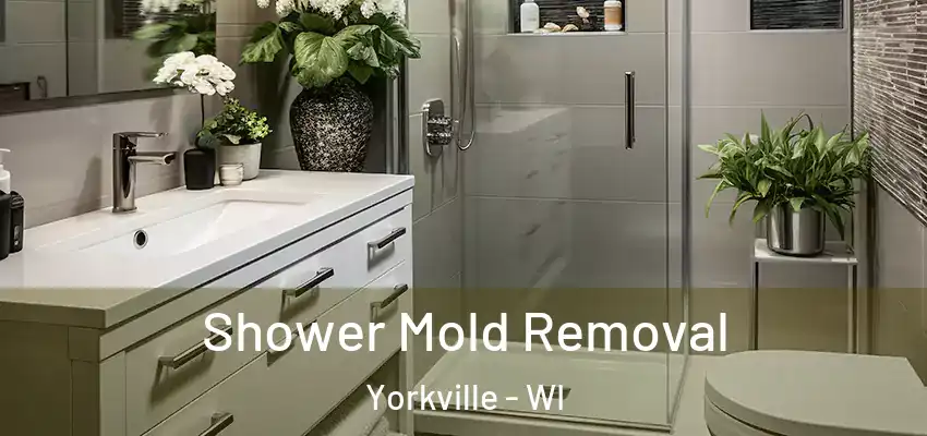  Shower Mold Removal Yorkville - WI